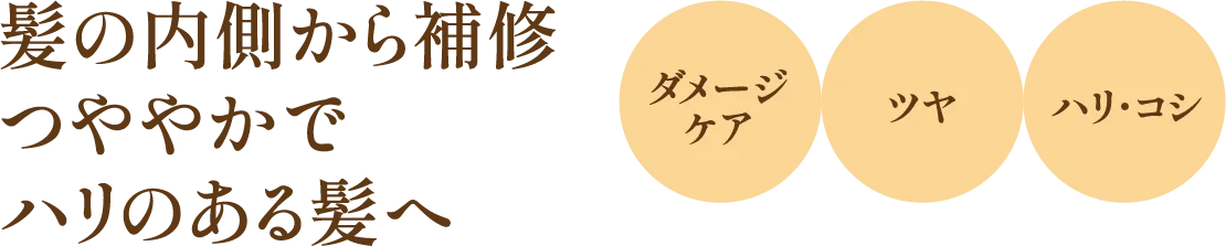 髪の内側から補修つややかでハリのある髪へ